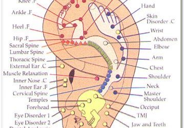 Ear Acupressure
