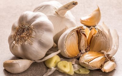 Healing Herb – Garlic