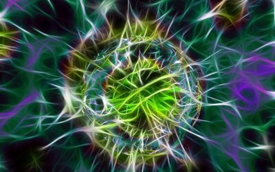 The Origin of Disease: The Germ Theory vs. The Terrain Theory