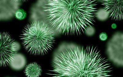 The Germ Theory vs. The Terrain Theory continued