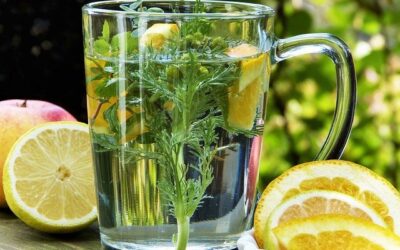 Strengthen Your Immune System