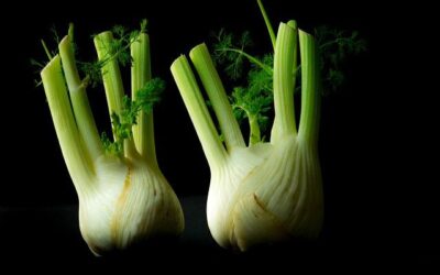 Healing Herb: Fennel