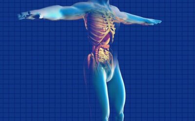 Functional Liver Health