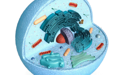 Treats Nothing, Helps Everything