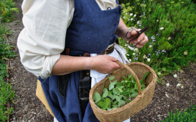 Knowing & Identifying Herbs