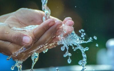 Fountain of Life II