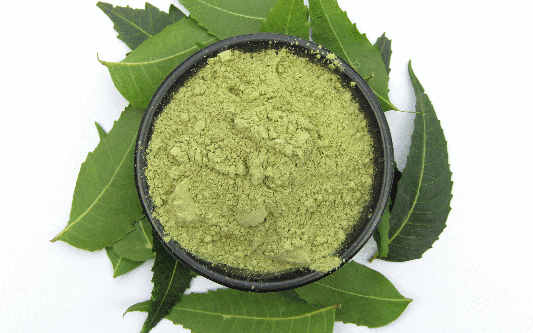 Neem Leaf