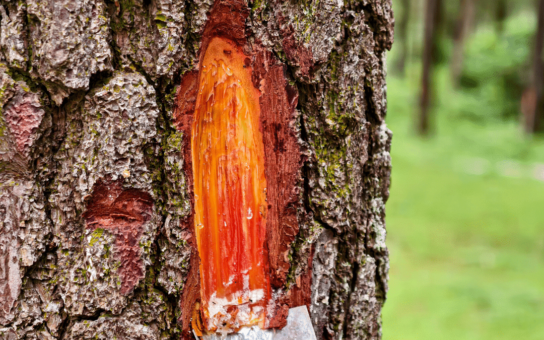 Miracle Cures Part III