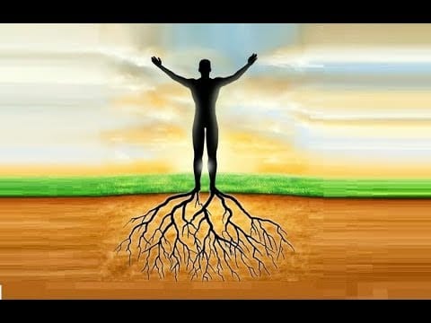 Healing From Grounding